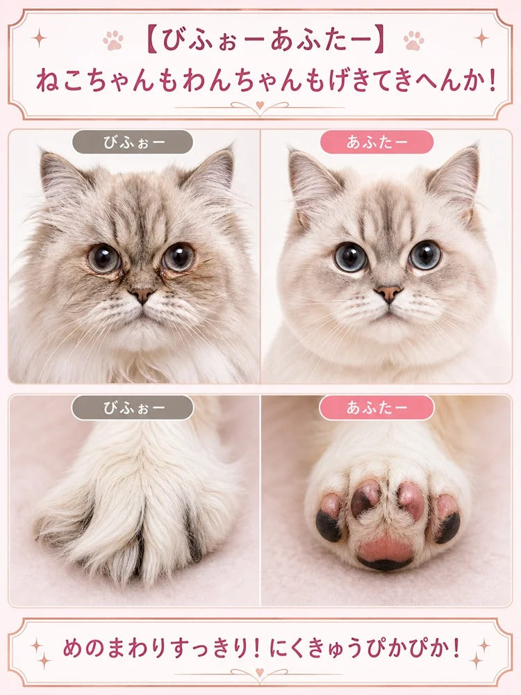 SERENA LEDライト付き ペット足裏トリマー｜犬・猫兼用